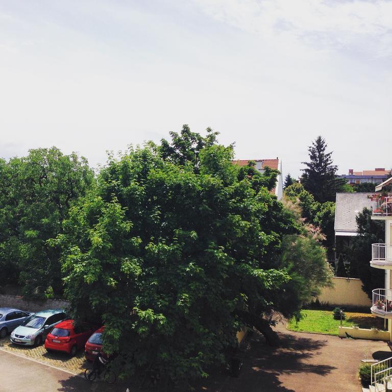 Tuenderpart Apartment Eger Ruang foto